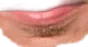Mouth Overlay